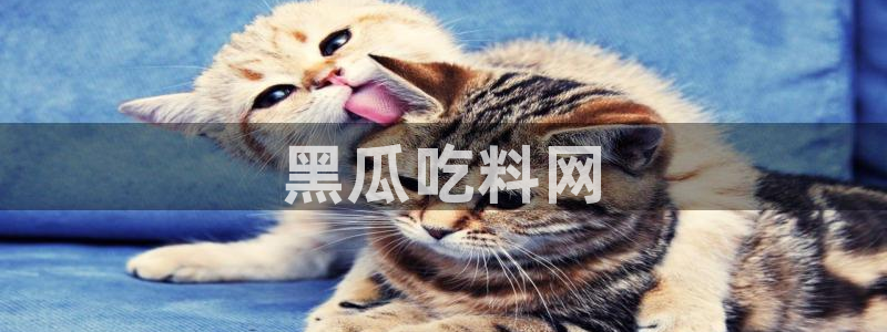 各种网红爆料吃瓜网站：黑瓜吃料网