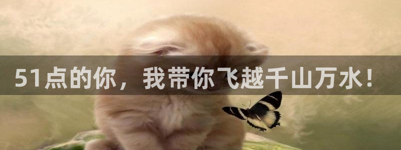 贝贝瓜可以炒着吃吗：51点的你，我带你飞越千山万水！