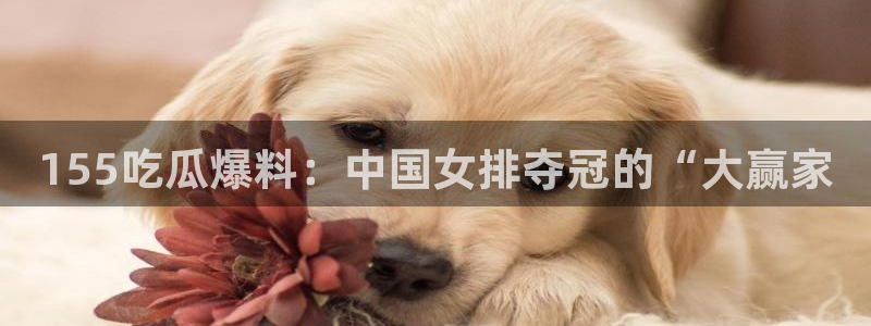 51吃瓜安卓下载：155吃瓜爆料：中国女排夺冠的“大赢家
