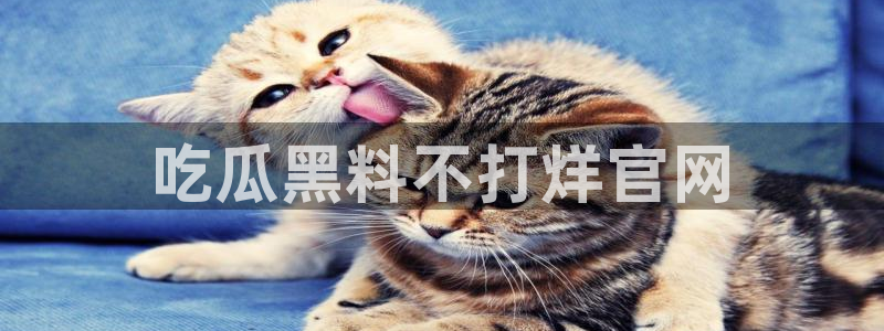 91 今日吃瓜 吃瓜首页：吃瓜黑料不打烊官网