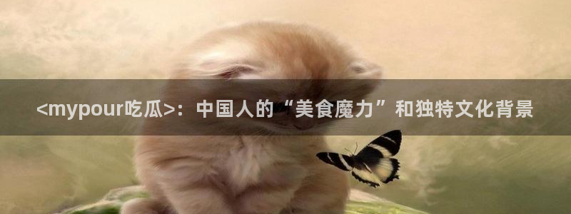 51吃瓜 张津瑜：<mypour吃瓜>：中国人的“美食魔力”和独特文化背景