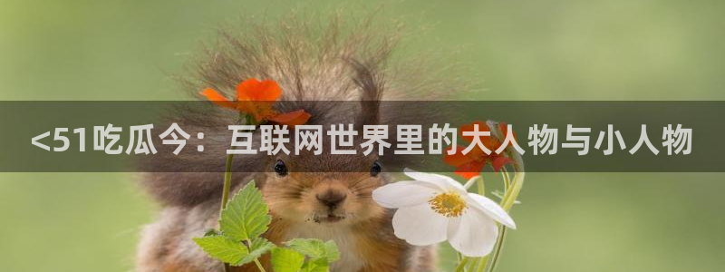 吃瓜喉咙痒怎么办：<51吃瓜今：互联网世界里的大人物与小人物